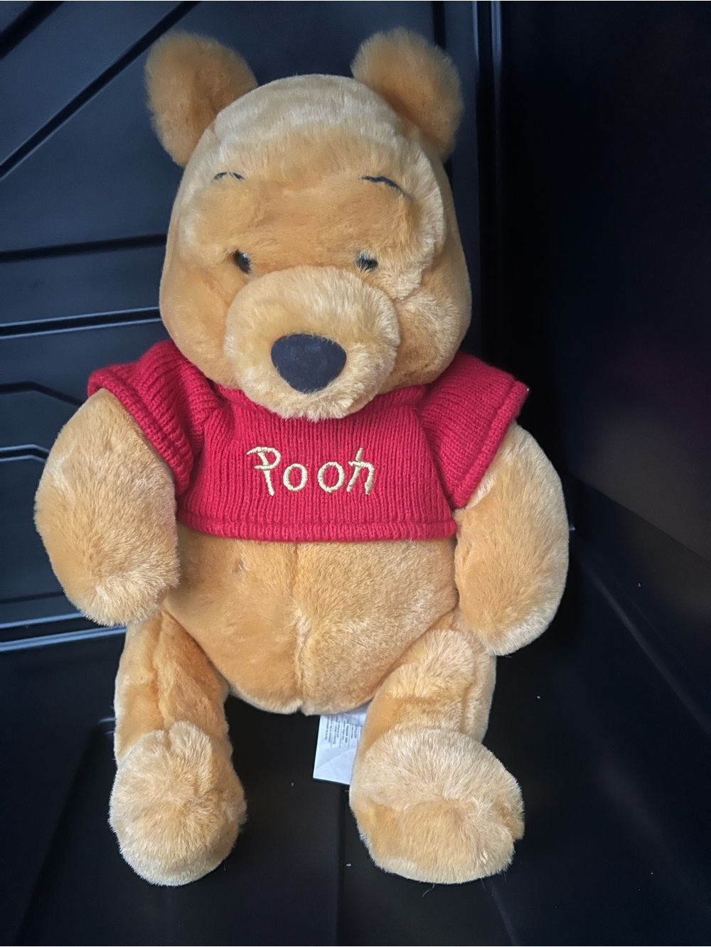 VTG Disney Winnie the Pooh Plush - Gold Fur with Red Sweater